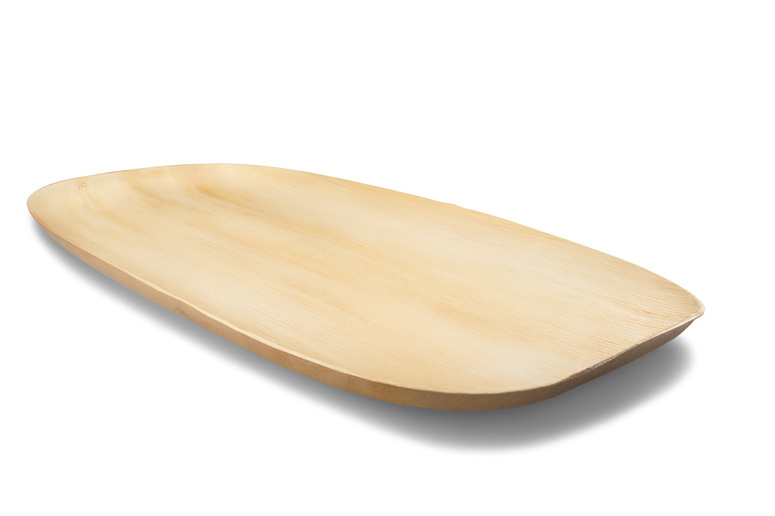 Palm cateringschaal – 550 x 360 x h25 mm